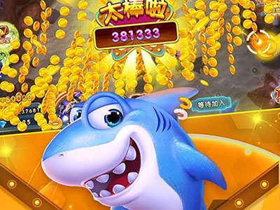 星力十代平台靠谱